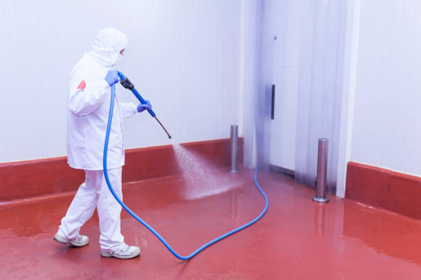 Pre-Holiday Cleaning in Wilder, ID